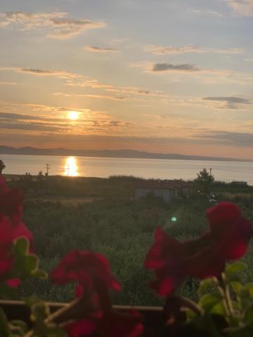Kalelia Nea Poteidaia Exterior foto