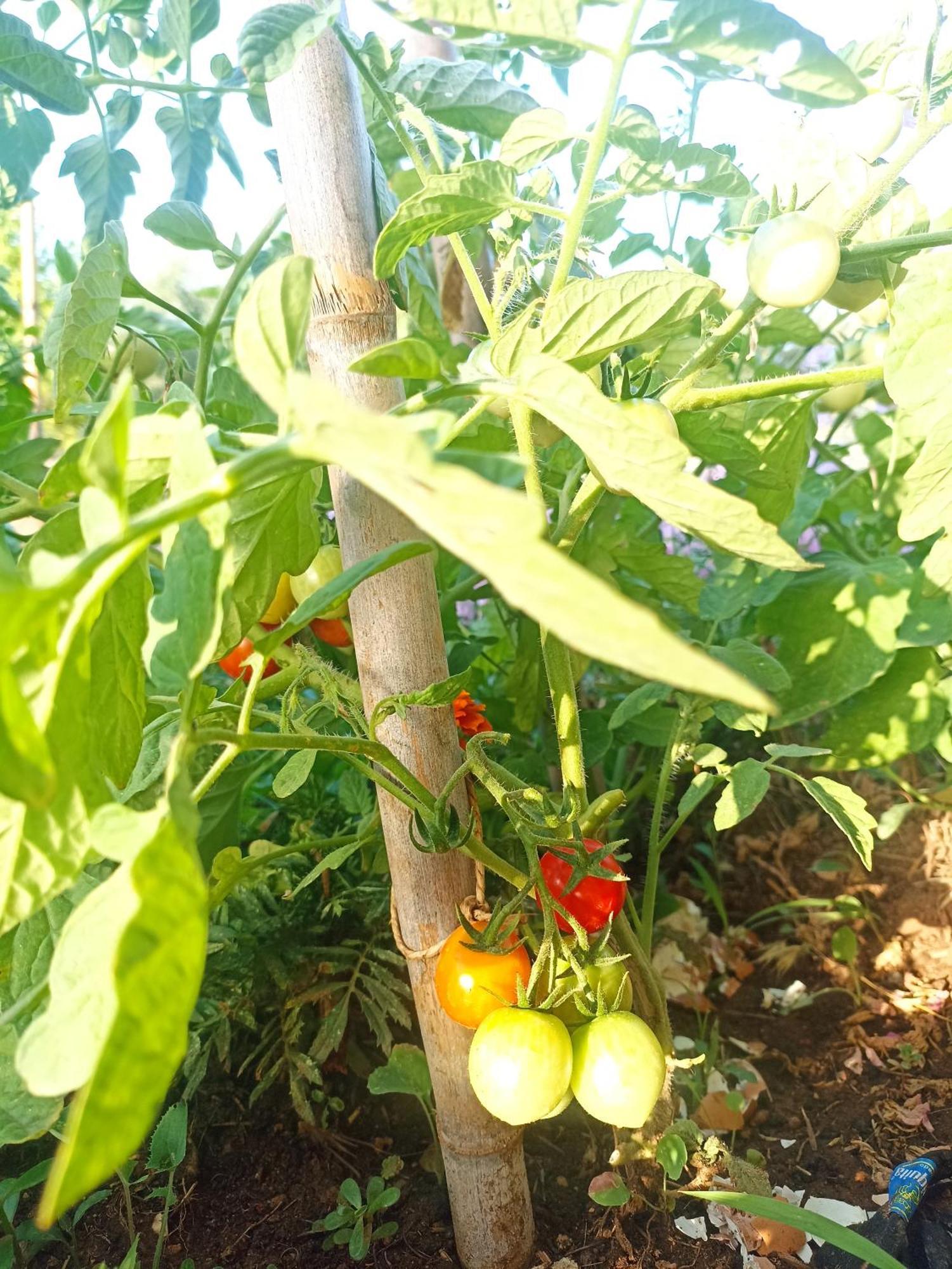 Kalelia Nea Poteidaia Exterior foto